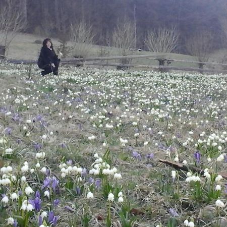Садиба Під Гострою Zhdeniievo Buitenkant foto